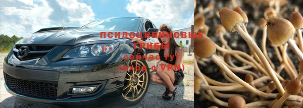 хмурый Алзамай