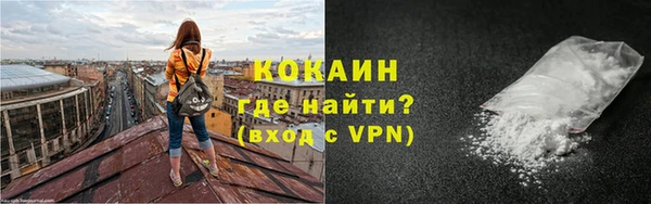 хмурый Алзамай